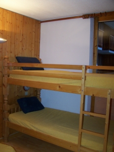 appartement location de vacances plagne village
